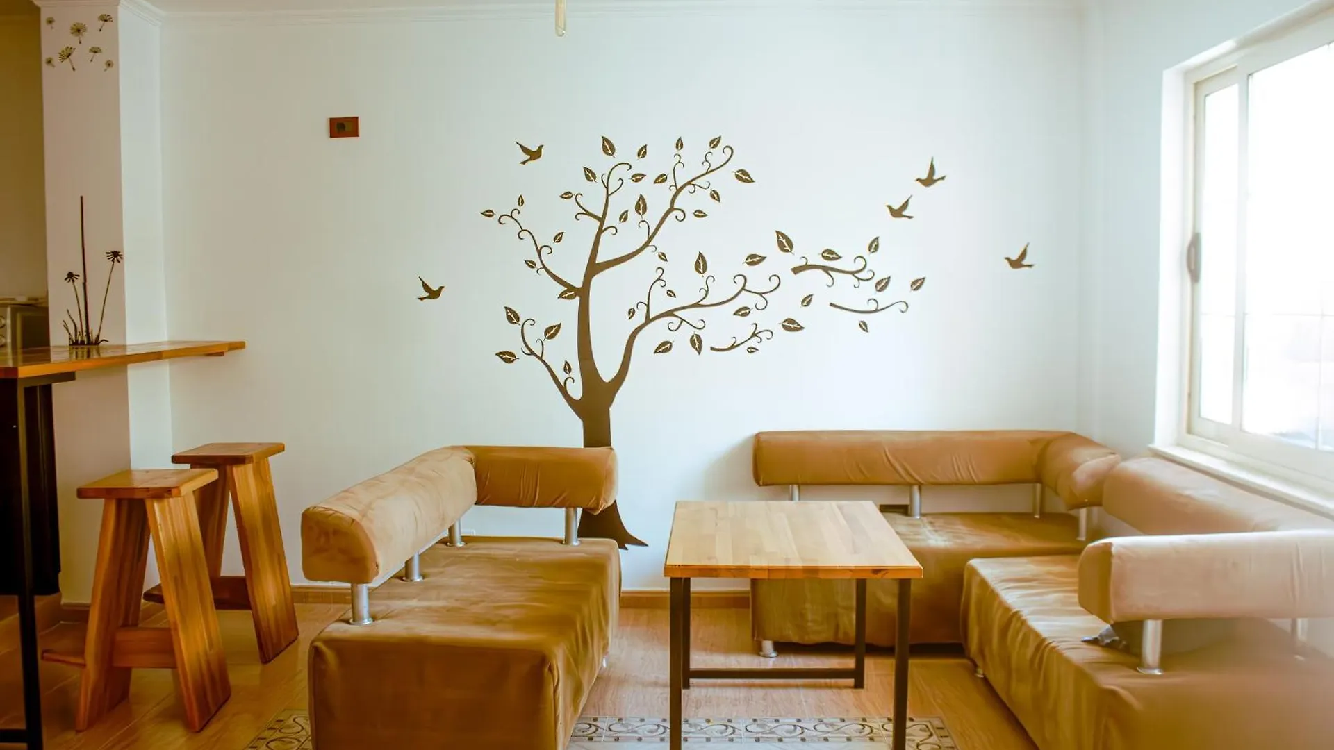 Hostel Albania Villa Tirana Albania